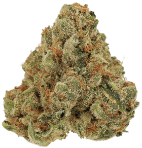 Crescendo Cookies