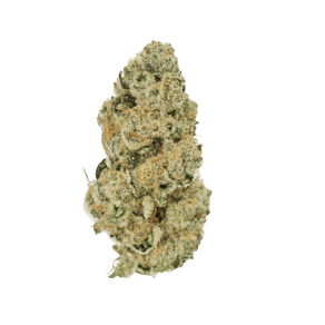Blue Lavender