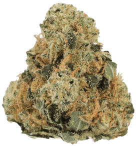 Lemon Skunk