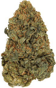 Chem de la Chem
