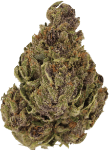 Tropicana Cookies