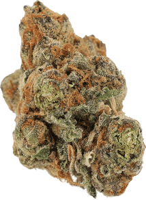 Grape Galena