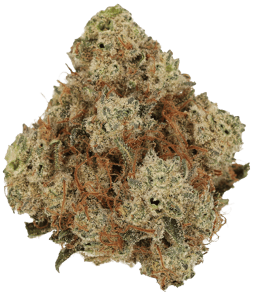 Ghost Train Haze