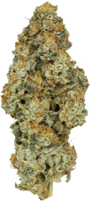 Platinum Oranges
