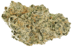Polar Cookies