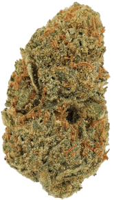 Jack Herer