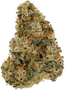 Super Lemon Haze