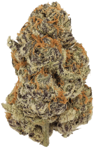 Tropical Cream Cake