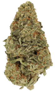 Papaya Boom