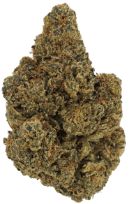 Lemon Cookie