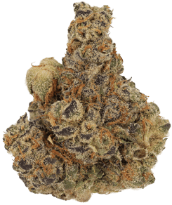 Space Cake