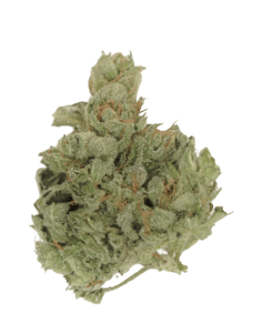 Island Sweet Skunk
