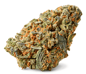 White Widow