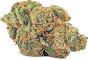 Funky Berry