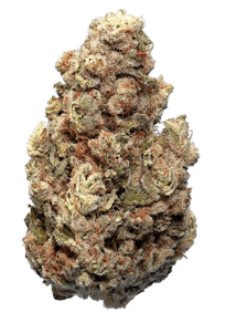 Cold Creek Kush