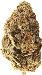 Amnesia Skittlez