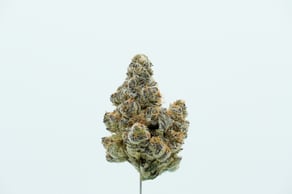 Frosted Flakes (Cereal Milk x Mac 1)