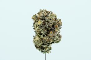 Dante'z Inferno (Oreoz x Devil Driver)