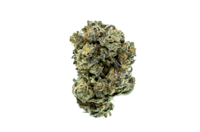 Dante'z Inferno (Oreoz x Devil Driver)