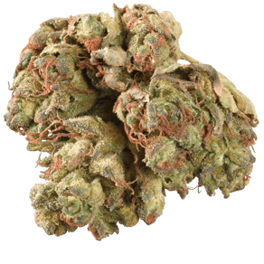 Afghan Kush