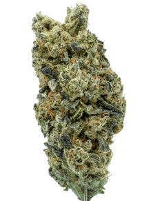 Pacific OG