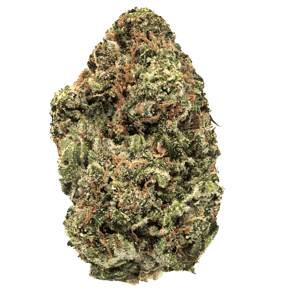 Jack Haze