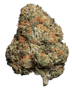 Jet Fuel Gelato
