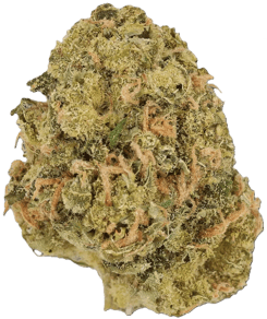 Sour Pie