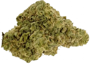 Lemon Tartz