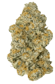 Lava Cake