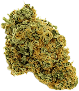 Chemdawg OG