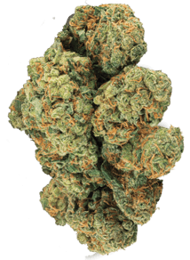 Lime Kush 2.0