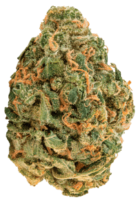 OG Lime Kush