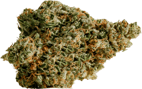 Pink Kush