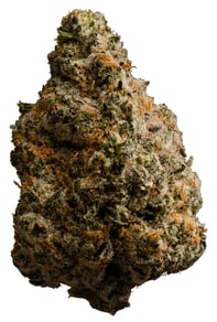 Minty Cookies