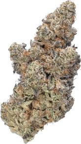 Black Dolato