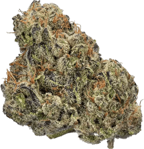 Crispy Doughnut