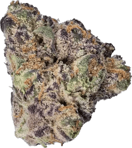 Guava Barz