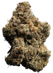 Ghost Train Haze