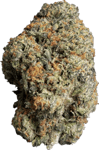 Jet Fuel Gelato