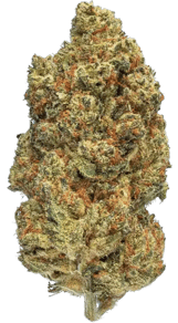 Pink Kush