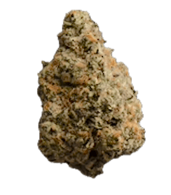 Baked Animal