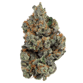 Gelatti Kush Mints