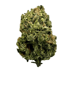 Sour Crush Haze