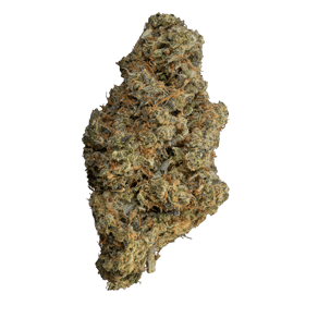 Blueberry