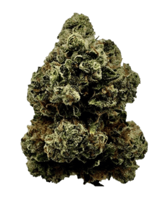 Chem Dawg OG
