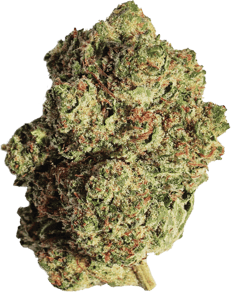 OG Kush