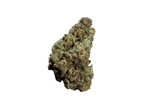 Chem Dawg
