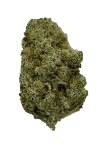 Frosted Platin Girl