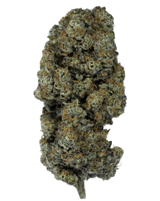Cream Cake